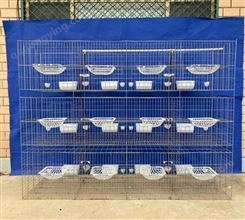 鸽子笼 3层24位肉鸽笼 配对笼鸽笼子厂家批发定做全自动养殖设备