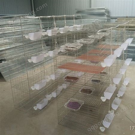 亮华鸽笼厂家销售3层12位鸽子养殖笼 肉鸽笼 广式鸽子笼
